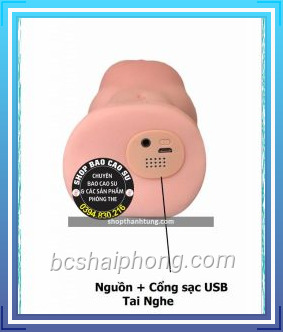 Am dao gia cam tay Juai tai Hai Phong 1.jpg