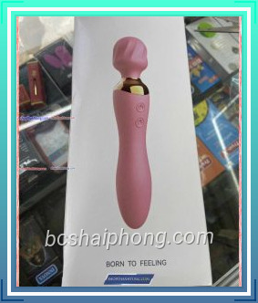 Chay rung 2 dau sac dien rung nhieu cap do 4555 1.jpg