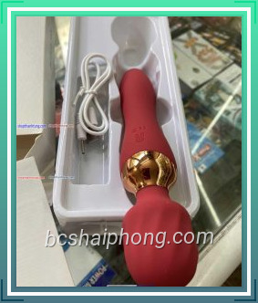 Chay rung 2 dau sac dien rung nhieu cap do 4555 3.jpg