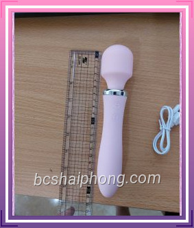 Chay rung lilo 376 1.jpg