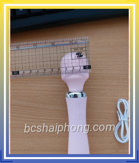 Chay rung lilo 376 6.jpg