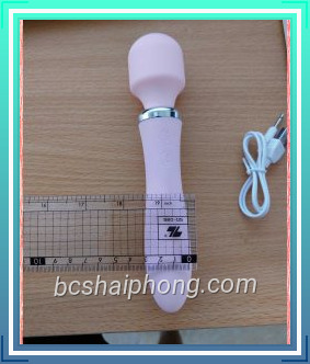 Chay rung lilo 376 7.jpg