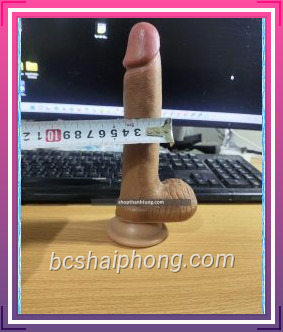 DUONG VAT GIA DAN TUONG khong rung sieu mem min 6947 1.jpg