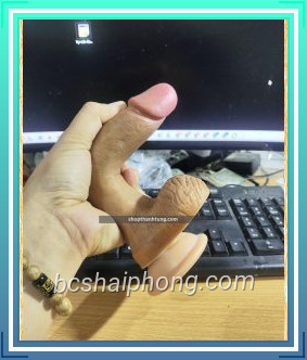 DUONG VAT GIA DAN TUONG khong rung sieu mem min 6947 7.jpg