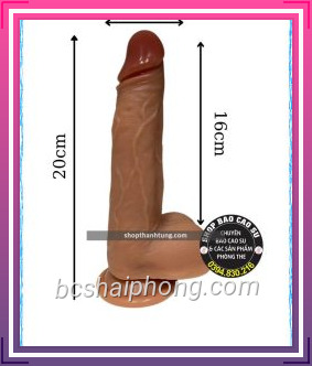 Duong Vat Gia Dieu Khien Tu Xa Gan Tuong XL rung thut ngoay 2.jpg