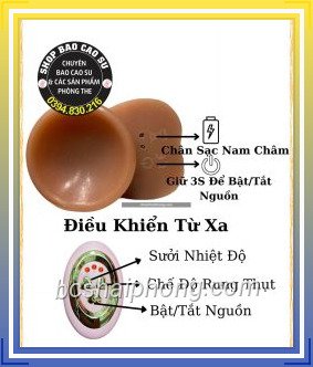 Duong Vat Gia Dieu Khien Tu Xa Gan Tuong XL rung thut ngoay 3.jpg