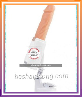 Duong Vat Gia Gan Tuong Co Thut tai Hai Phong 1.jpg