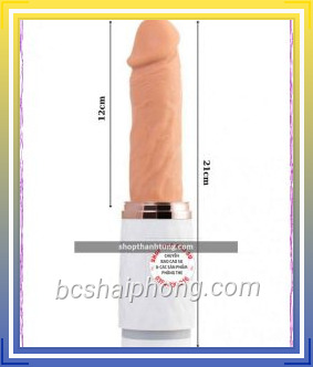 Duong Vat Gia Gan Tuong Co Thut tai Hai Phong 5.jpg