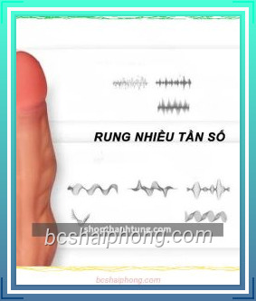 Duong Vat Gia Luon Song Max Ware tai Hai Phong 4.jpg