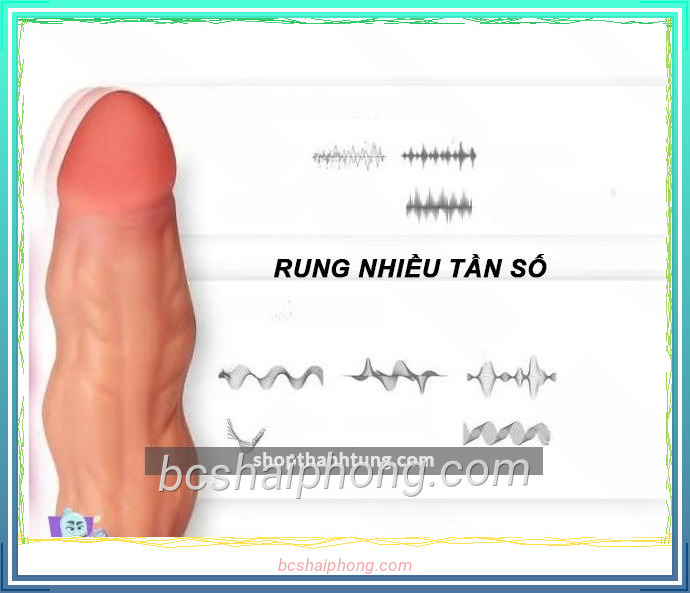 Duong Vat Gia Luon Song Max Ware tai Hai Phong 4.jpg