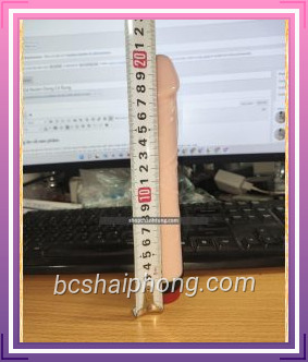 Duong Vat Gia Rockin Dong Co Rung 4.jpg