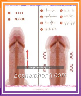 Duong Vat Gia Rung Thut Masturbator 2.jpg