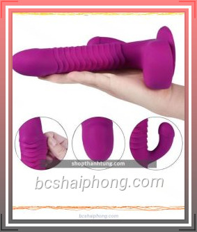 Duong vat gia Angus ngoay rung gan tuong 5.jpg