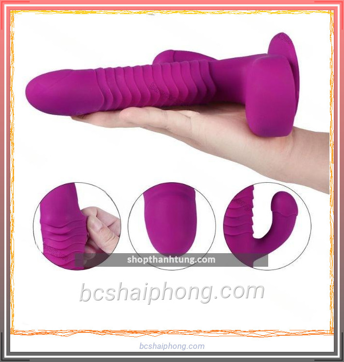 Duong vat gia Angus ngoay rung gan tuong 5.jpg