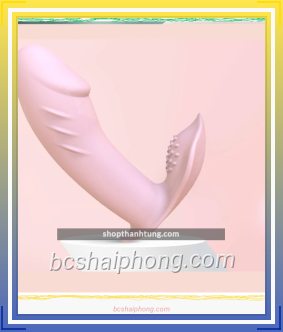 Duong vat gia gan quan chip dieu khien tu xa 8.png