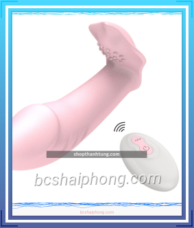 Duong vat gia gan quan chip dieu khien tu xa 9.png