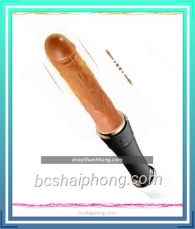 Duong vat gia gay bong chay Baseball Bat 1.jpg