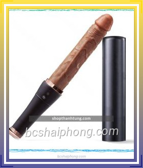 Duong vat gia gay bong chay Baseball Bat 4.jpg