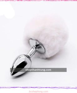 Phich cam hau mon duoi tho Inox tai Hai Phong 1.jpg