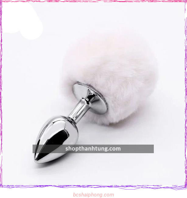Phich cam hau mon duoi tho Inox tai Hai Phong 1.jpg