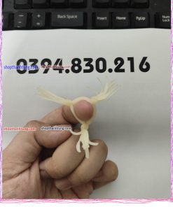 RAU RONG SILICON 1.jpg