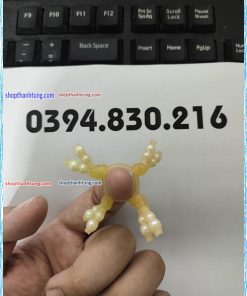 RAU RONG SILICON 10.jpg