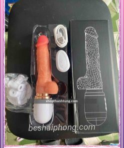 duong vat gia Dildo e1695631332683.jpg