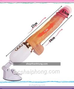 duong vat gia gan tuong Dildo 1.jpg