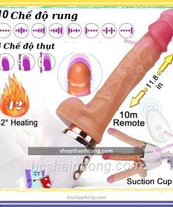 duong vat gia gan tuong Dildo 2.jpg
