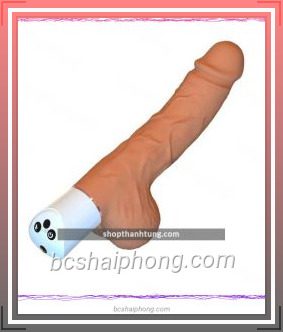 duong vat gia gan tuong Scimitar 1 fotor 2024072484342.jpg