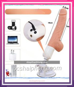 duong vat gia gan tuong Scimitar 4 fotor 2024072484325.jpg