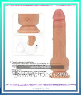 duong vat gia gan tuong ngoay rung Love toy Anthony 2 fotor 2024072320335.jpg