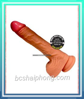 duong vat gia gan tuong super vibrator 4.jpg