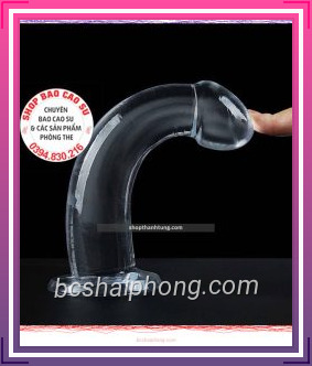 duong vat gia gan tuong trong suot 4.jpg