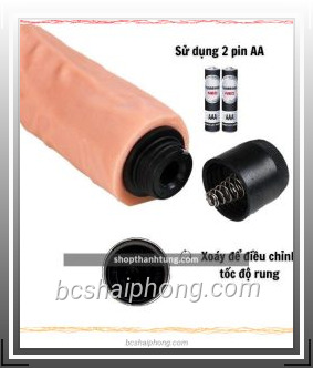 duong vat gia silicon xmen 5 fotor 202407257328.jpg