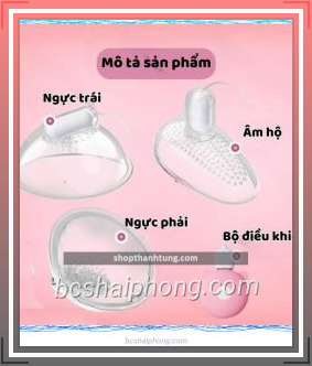may massage vu 3 trong 1 3 fotor 2024072915563.jpg