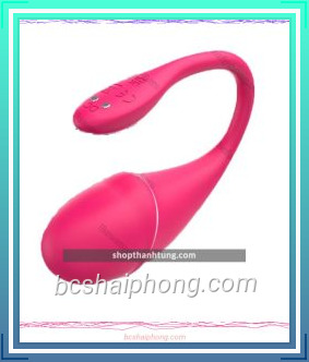 trung rung dieu khien bang app little dolphin 1.jpg