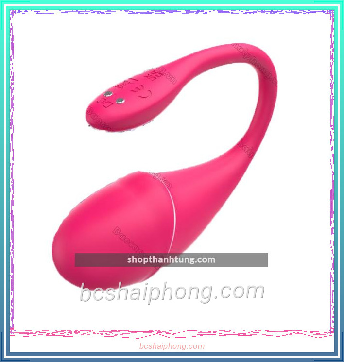 trung rung dieu khien bang app little dolphin 1.jpg