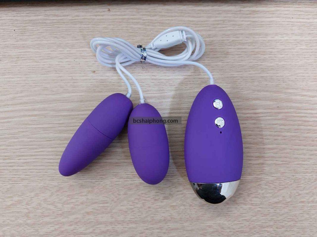 Gợi Ý Địa Chỉ Mua Đồ Chơi Cho Les Uy Tín Tại Hải Phòng