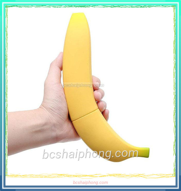 Gợi ý địa chỉ mua uy tín tại Hải Phòng