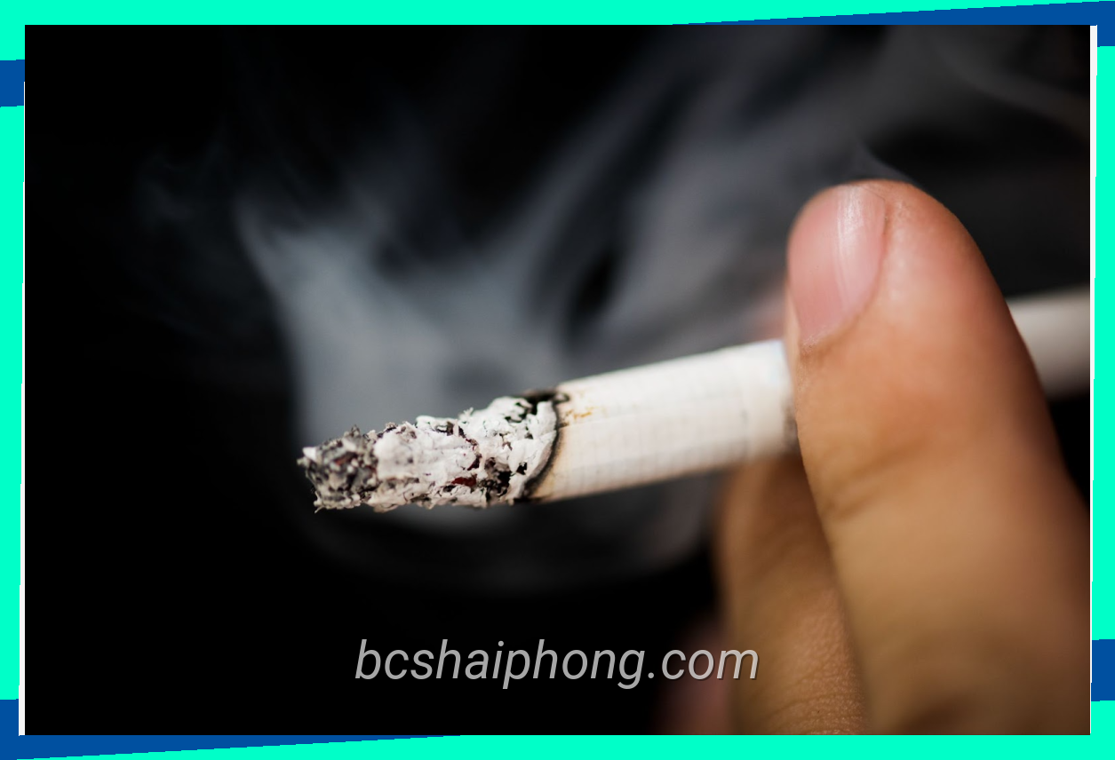Sản phẩm thuoc la – ke thu so cua kha nang sinh san có tính thẩm mỹ cao
