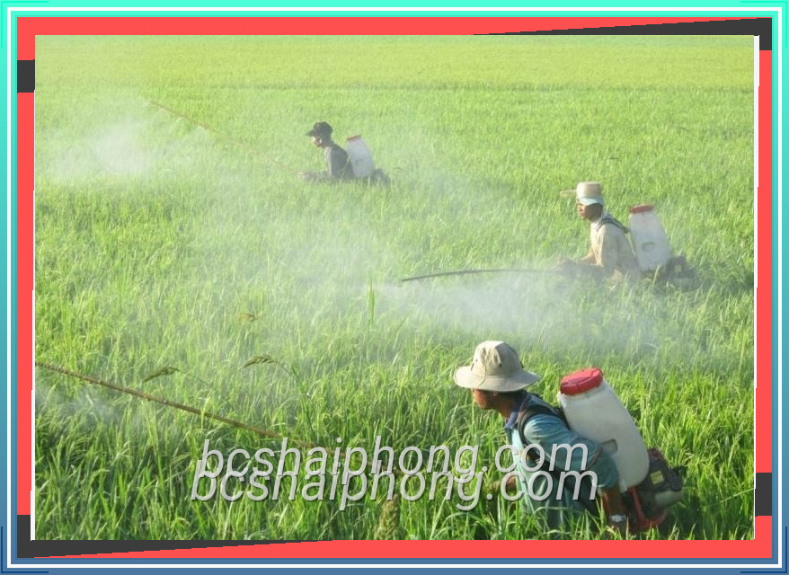 Hình ảnh thực tế thuoc tru sau va hoa chat nong nghiep với góc nhìn tự nhiên