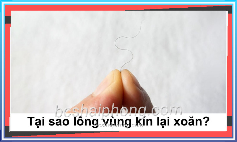 Ảnh minh họa taisaolongvungkinlaixoan giúp nội dung dễ hiểu hơn