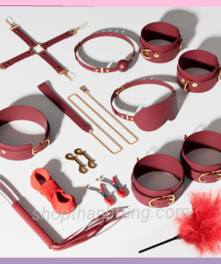Bo do choi bdsm 12 mon