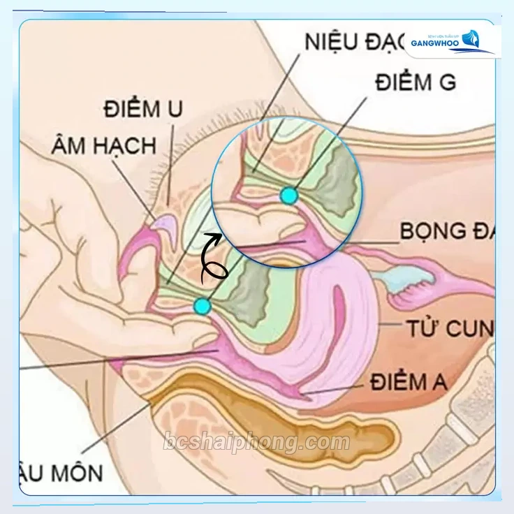 Ha diem - shop vợ chồng Hải Phòng